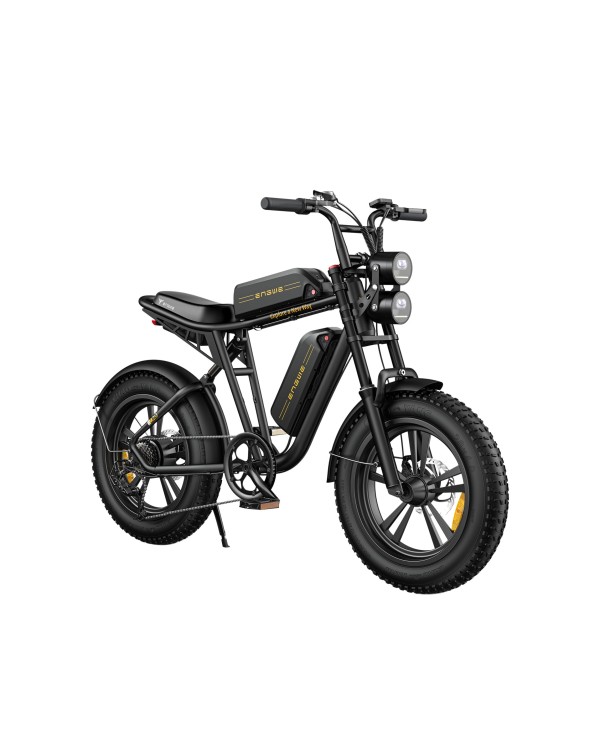 ENGWE M20 elektrinis dviratis (20