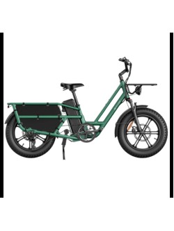 FIIDO T2 CARGO elektrinis dviratis (20
