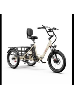 OneSport OT30 Pro CARGO elektrinis triratis dviratis (20
