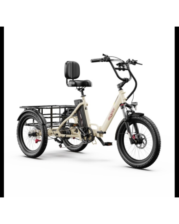 OneSport OT30 Pro CARGO elektrinis triratis dviratis (20