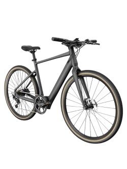 FIIDO C21 E-GRAVEL elektrinis dviratis (28