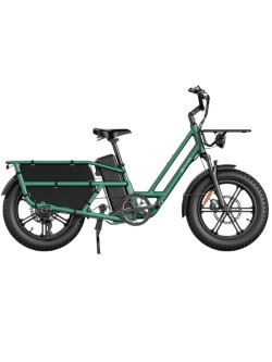 FIIDO T2 CARGO elektrinis dviratis (20