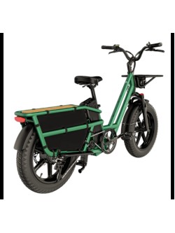 FIIDO T2 CARGO elektrinis dviratis (20