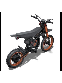 Riding Times GT54 elektrinis dviratis (14