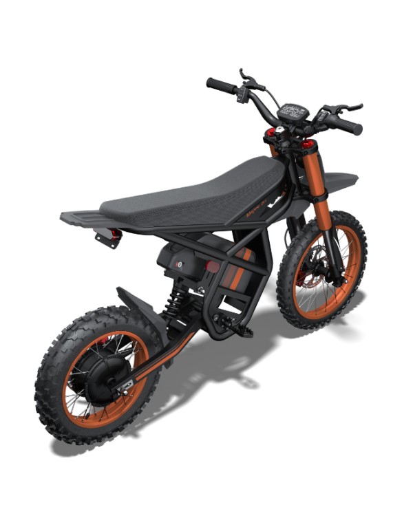 Riding Times GT54 elektrinis dviratis (14