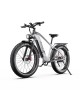 DUOTTS F26 Lite elektrinis dviratis (26")