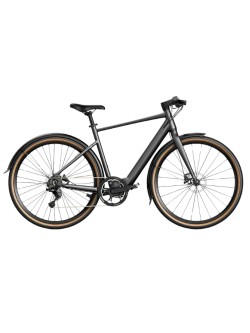FIIDO C21 E-GRAVEL elektrinis dviratis (28