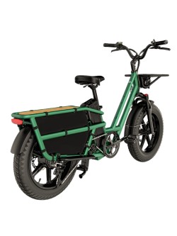 FIIDO T2 CARGO elektrinis dviratis (20