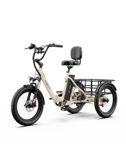 OneSport OT30 Pro CARGO elektrinis triratis dviratis (20