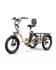 OneSport OT30 Pro CARGO elektrinis triratis dviratis (20")