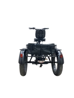 RIDE-E X13 elektrinis trijų ratų dviratis (20