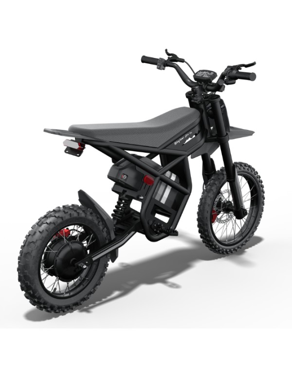 Riding Times GT54 Pro elektrinis dviratis (14")