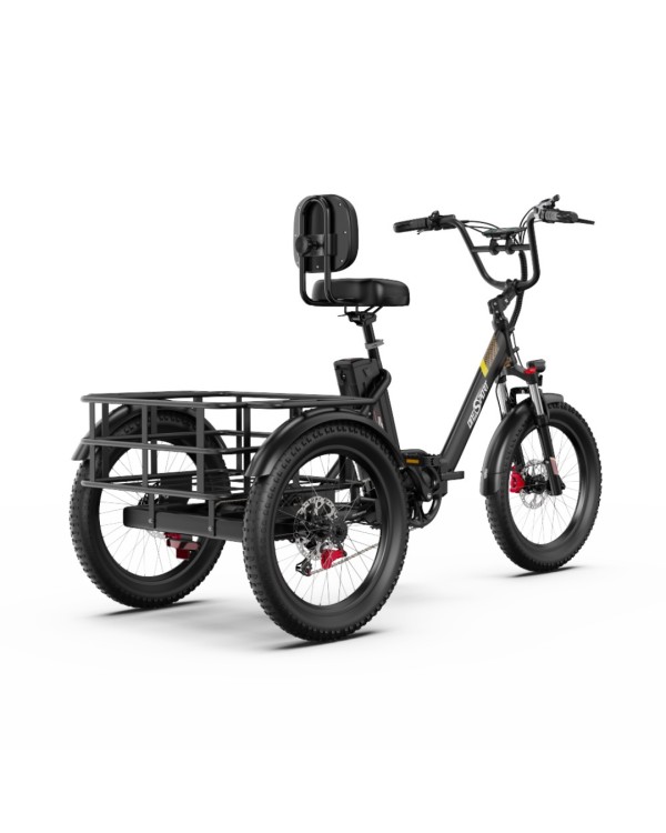 OneSport OT30 Pro CARGO elektrinis triratis dviratis (20")