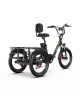 OneSport OT30 Pro CARGO elektrinis triratis dviratis (20")