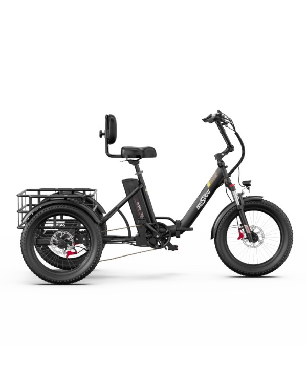OneSport OT30 Pro CARGO elektrinis triratis dviratis (20")