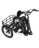 OneSport OT30 Pro CARGO elektrinis triratis dviratis (20")