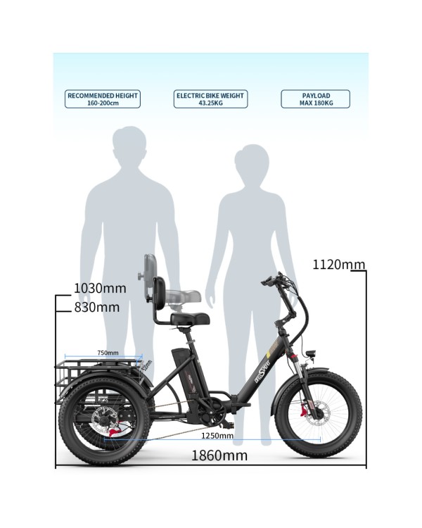 OneSport OT30 Pro CARGO elektrinis triratis dviratis (20")