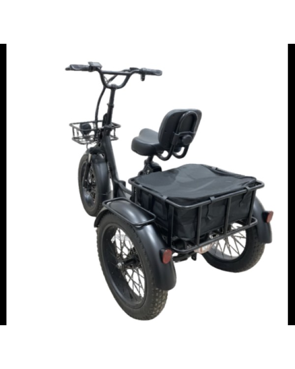 RIDE-E X13 elektrinis trijų ratų dviratis (20