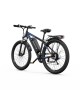 DUOTTS C29L Hydraulics elektrinis dviratis (29")