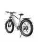 DUOTTS F26 Lite elektrinis dviratis (26")