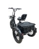 RIDE-E X13 elektrinis trijų ratų dviratis (20