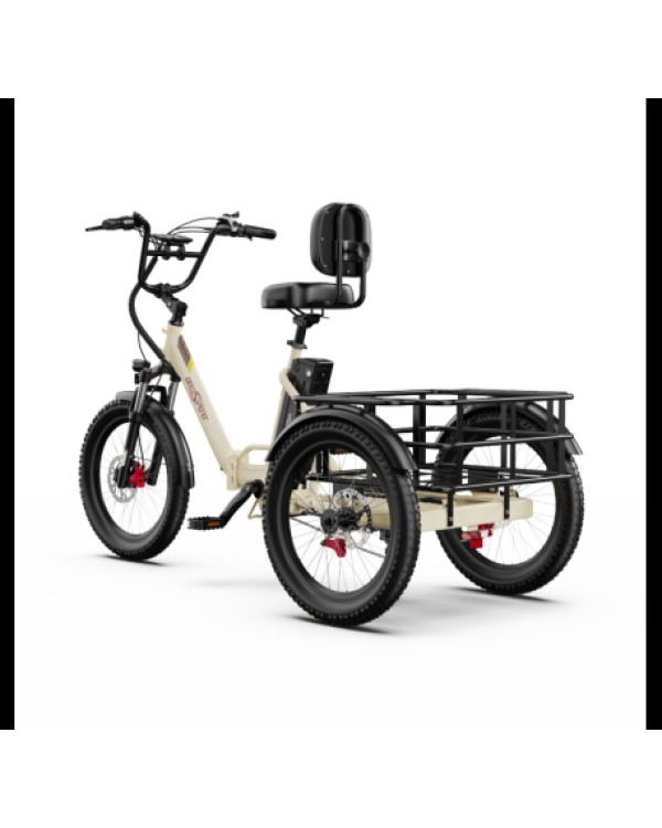 OneSport OT30 Pro CARGO elektrinis triratis dviratis (20