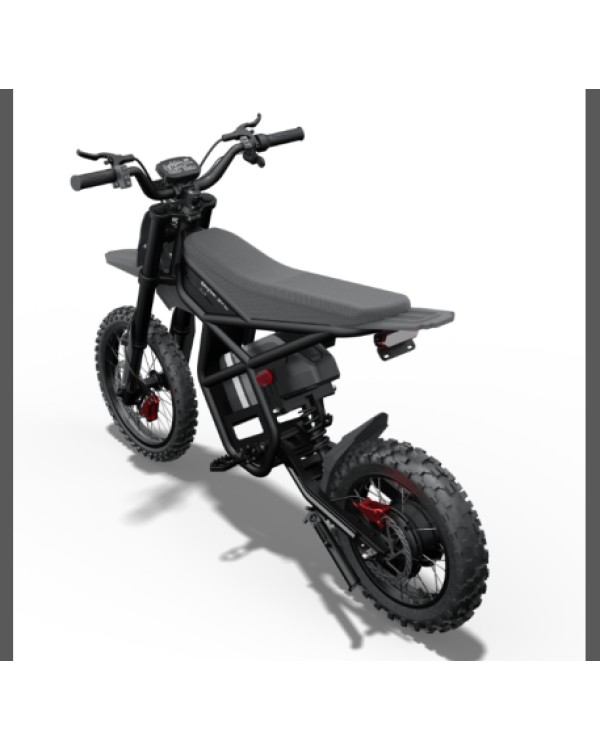 Riding Times GT54 Pro elektrinis dviratis (14
