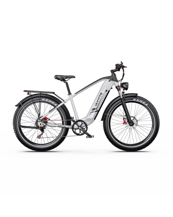 DUOTTS F26 Lite elektrinis dviratis (26")
