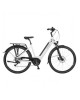 ECOBIKE LX100 elektrinis dviratis (28