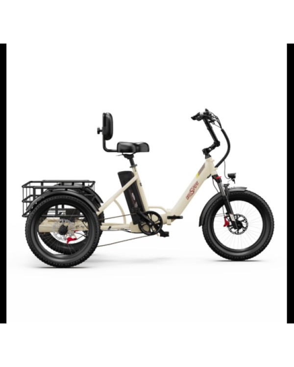 OneSport OT30 Pro CARGO elektrinis triratis dviratis (20