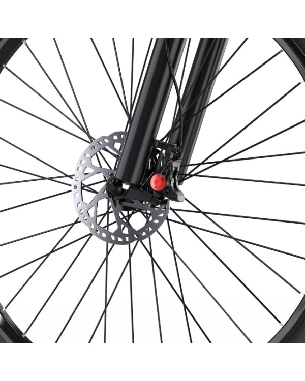DUOTTS C29L Hydraulics elektrinis dviratis (29")