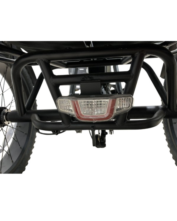 RIDE-E X13 elektrinis trijų ratų dviratis (20