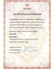 ENGWE L20 3.0 PRO elektrinis dviratis (20