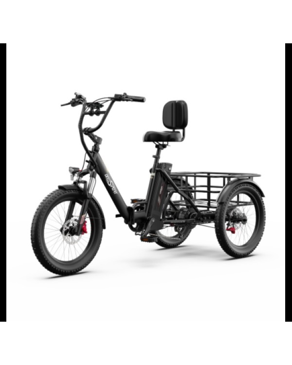 OneSport OT30 Pro CARGO elektrinis triratis dviratis (20