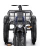APEFOX RH30 (18