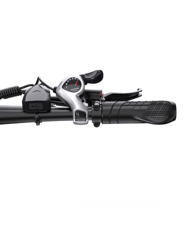 DUOTTS C29L Hydraulics elektrinis dviratis (29")