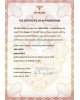ENGWE L20 3.0 PRO elektrinis dviratis (20")