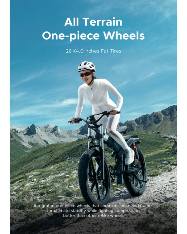 ENGWE X26 1000W 19.2+10Ah elektrinis dviratis