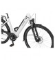 ECOBIKE LX100 elektrinis dviratis (28