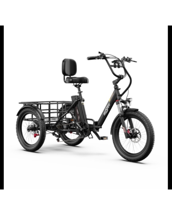 OneSport OT30 Pro CARGO elektrinis triratis dviratis (20