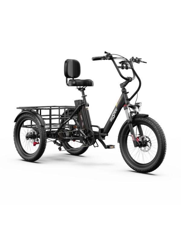 OneSport OT30 Pro CARGO elektrinis triratis dviratis (20")