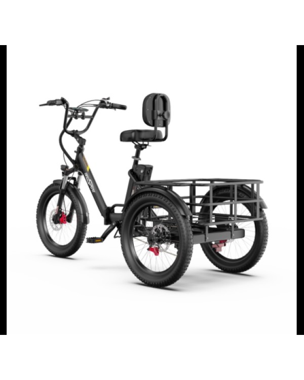 OneSport OT30 Pro CARGO elektrinis triratis dviratis (20