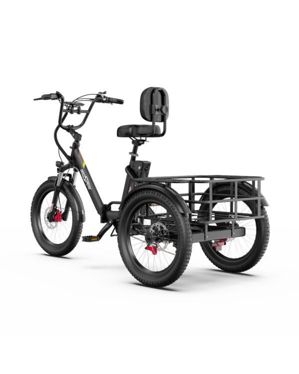 OneSport OT30 Pro CARGO elektrinis triratis dviratis (20")