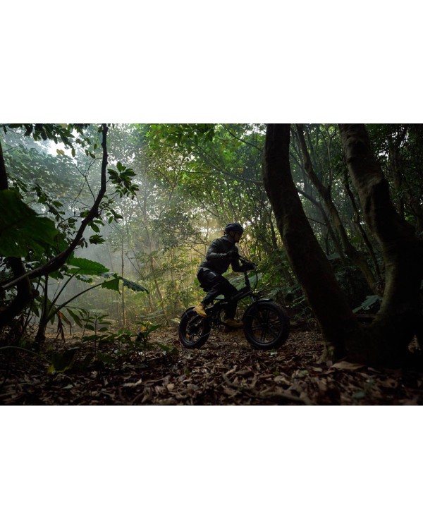 ADO Beast 20F elektrinis dviratis