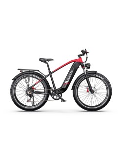DUOTTS F26 Lite elektrinis dviratis