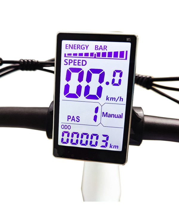 DASCH X6 elektrinis dviratis