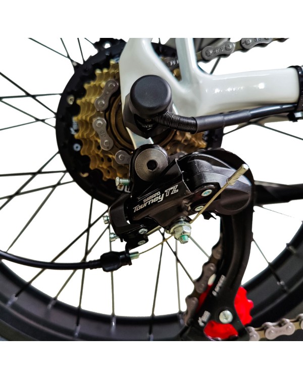 DASCH X6 elektrinis dviratis