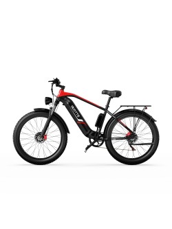 DUOTTS F26 elektrinis dviratis