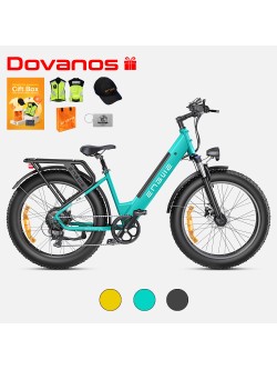 ENGWE E26 ST 16Ah elektrinis dviratis