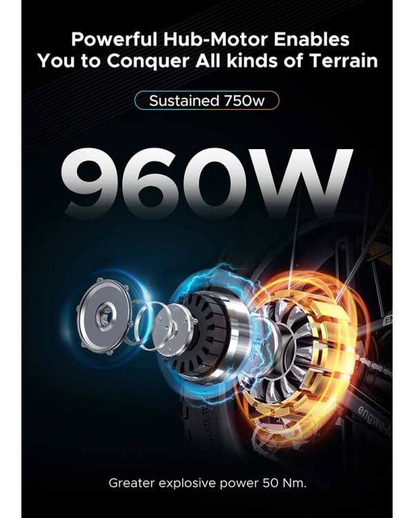 ENGWE EP-2 PRO 750W elektriniai dviračiai 2 VIENETAI PIGIAU